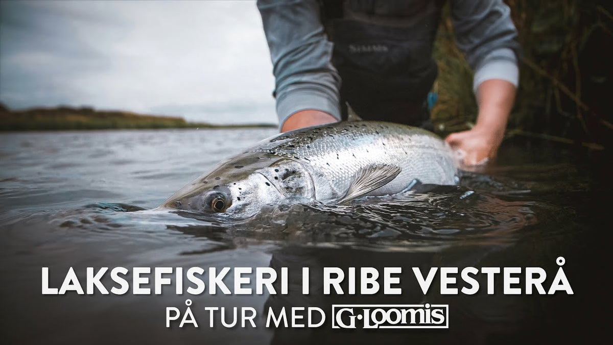 Fluebinding: Golden Nugget – historien og de nævnte materialer