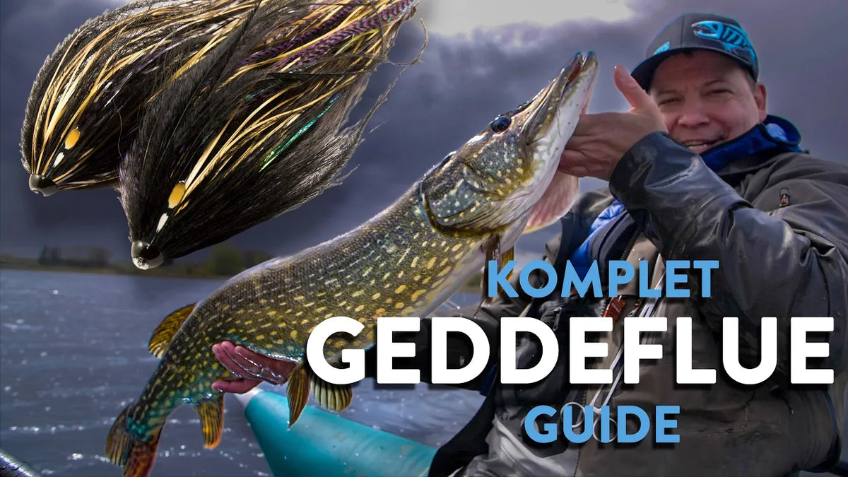 Fiskeguides: Gedder på flue – forfang, grej og fiskesteder
