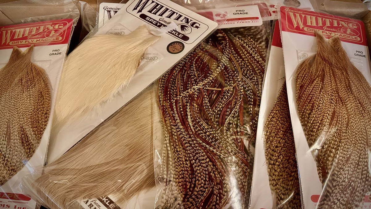 Grejnyheder: Whiting-fjer til rejefluer, flatwing og tørfluer