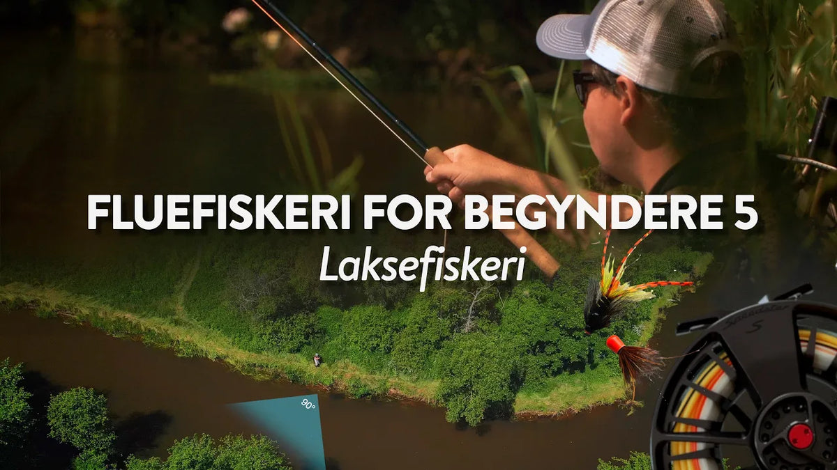 Fiskeguides: Fluefiskeri efter laks for begyndere