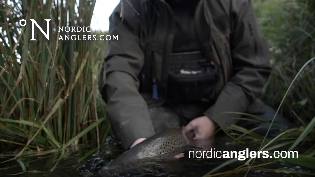 Sponsor af Fiskemagasinet på DK4