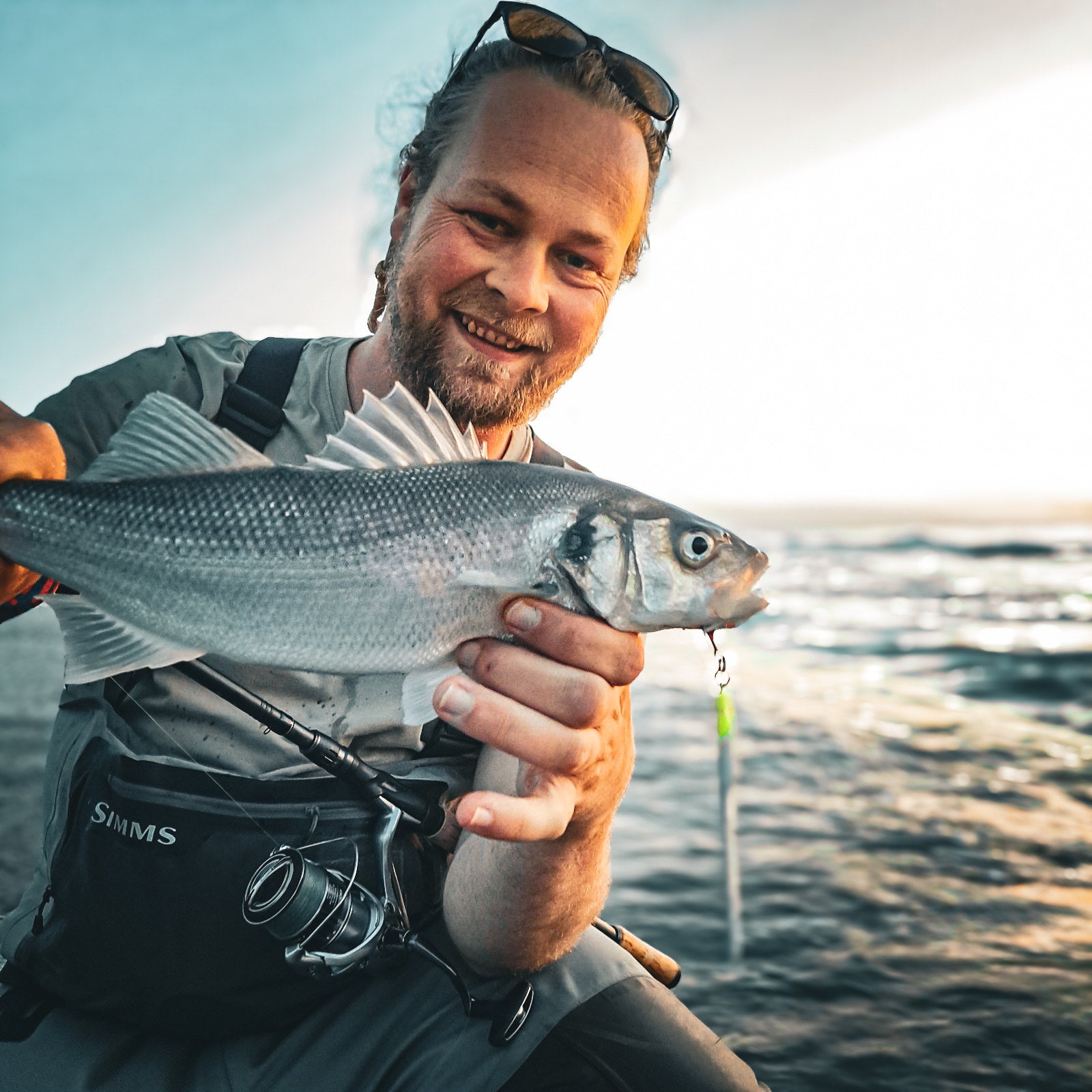 Fiskegrej til havbars