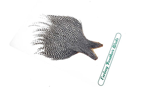 You added <b><u>Ewing Dry fly Top Cape, Grizzly</u></b> to basket.