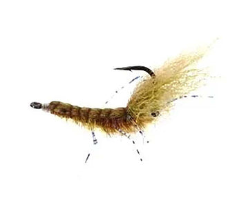 You added <b><u>The Aura Shrimp White - Size 4</u></b> to basket.