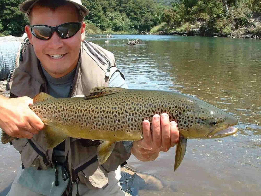 (Silver Grade) Whiting Dryfly Red Label - Medium Dun