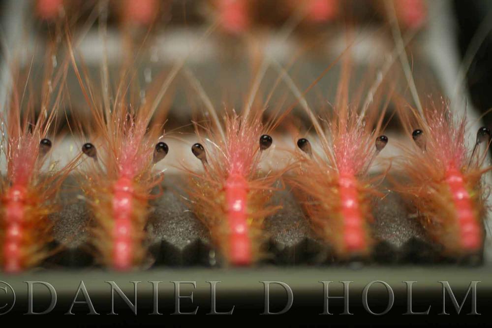 (Silver Grade) Whiting Spey Rooster - Black