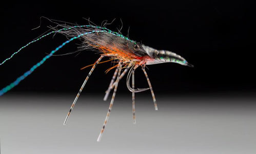You added <b><u>Material kit - Jonatan Ternald - Super shrimp</u></b> to basket.