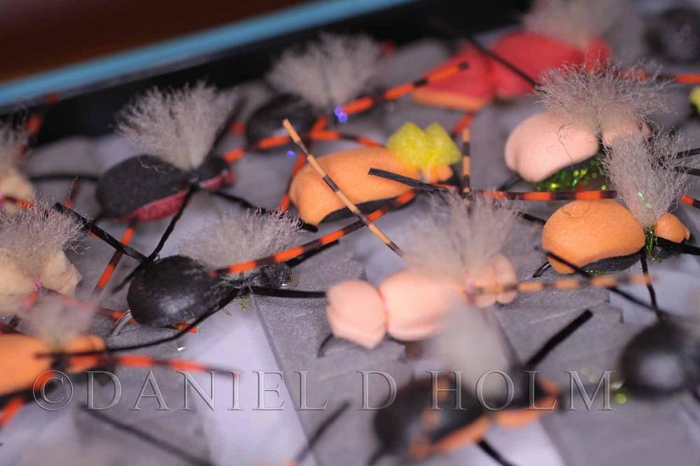 Wapsi Fly Foam Brown