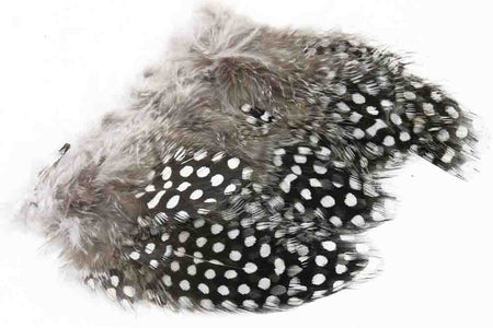 You added <b><u>Guinea Fowl - Natural</u></b> to basket.