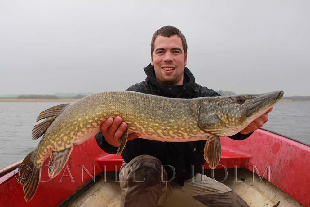 Flashabou lateral scale - Pearl Chartreuse