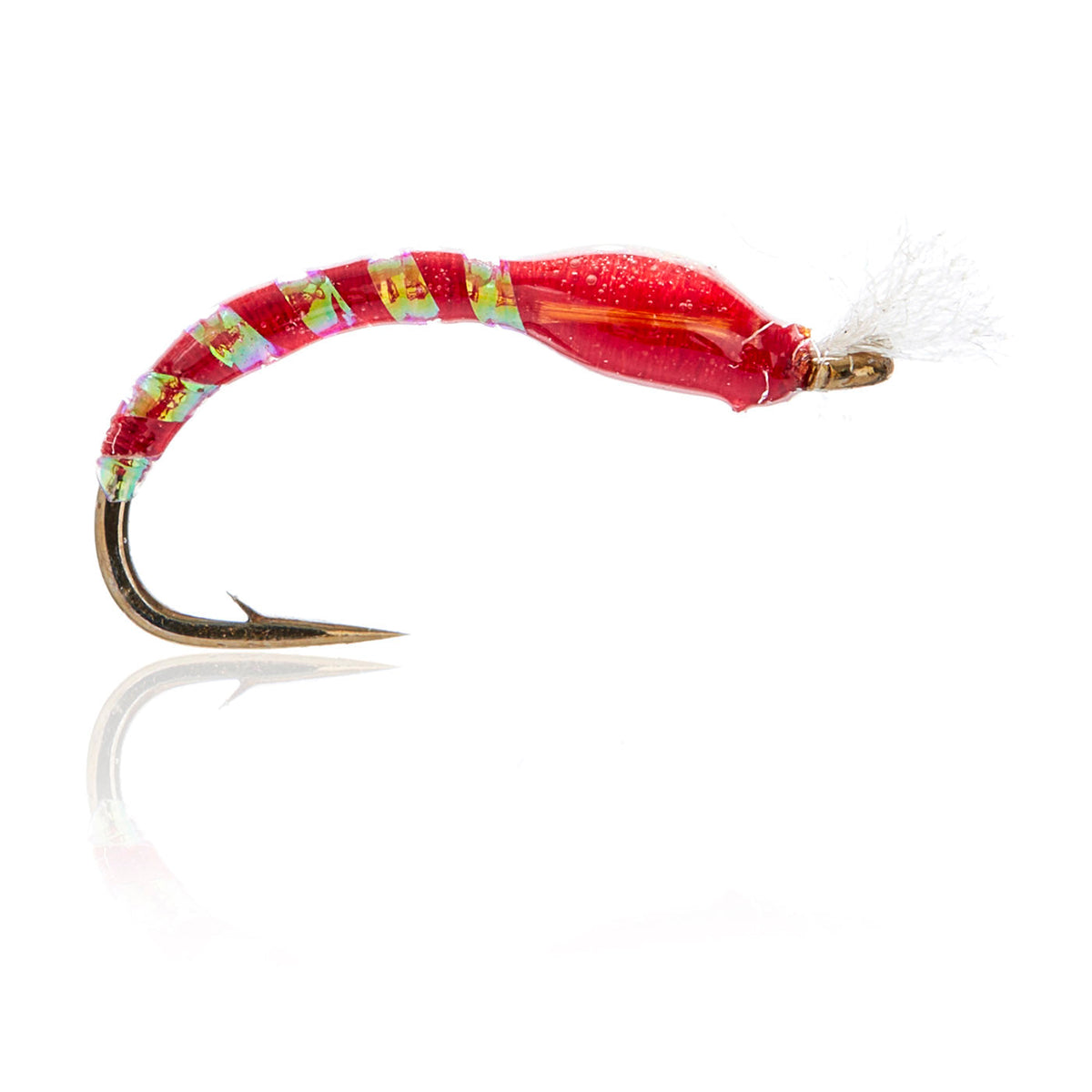 A.Jensen NYMPHS â€“ AJF_400120.jpg