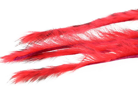 You added <b><u>3 mm Rabbit Barred Zonkerstrip - Fl. Ed</u></b> to basket.