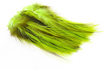 You added <b><u>Rooster Hackles Badger - Fl. Green</u></b> to basket.