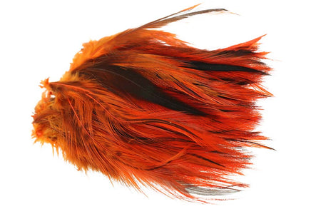You added <b><u>Cock Hackler Badger - Orange</u></b> to basket.