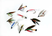 10 mixed wet flies