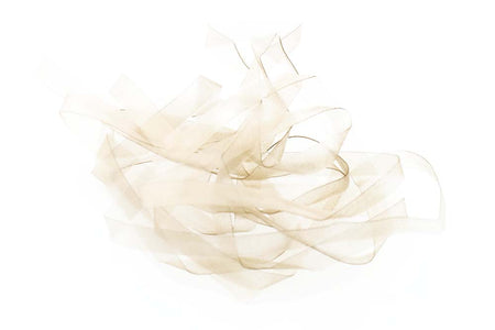 You added <b><u>Body Stretch - Tan</u></b> to basket.
