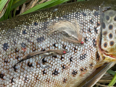 You added <b><u>Material kit - The crooked goby</u></b> to basket.