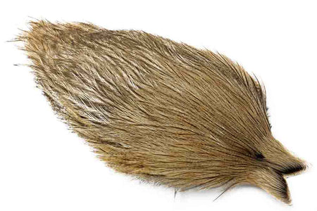 You added <b><u>Whiting Coq de leon Cape - Light Pardo</u></b> to basket.