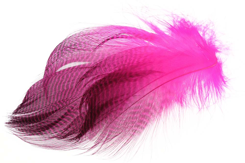 Teal Flank Feathers - Fl. Pink