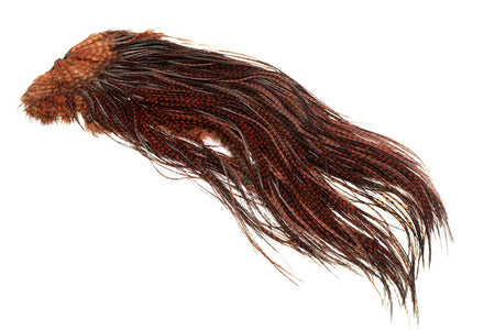 You added <b><u>(Pro Grade) Whiting Red Label Saddle - Grizzly Coachman Brown</u></b> to basket.
