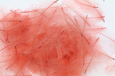 You added <b><u>Selected Cdc 1 gram - White</u></b> to basket.