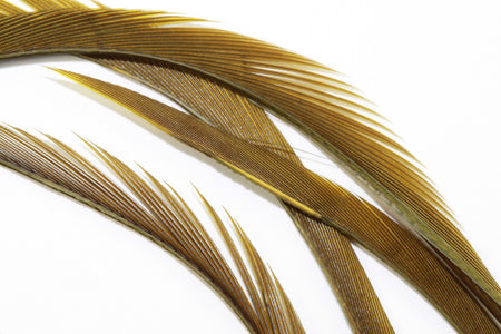 You added <b><u>Goose Biots - Olive</u></b> to basket.