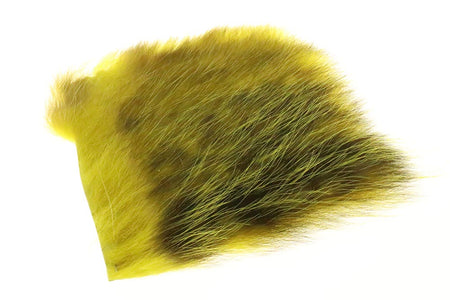 You added <b><u>Futurefly American Opossum - Golden Olive</u></b> to basket.