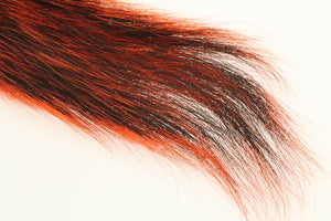 Silver Tip Squirrel Tail - Orange