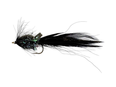 You added <b><u>Night Sandeel</u></b> to basket.