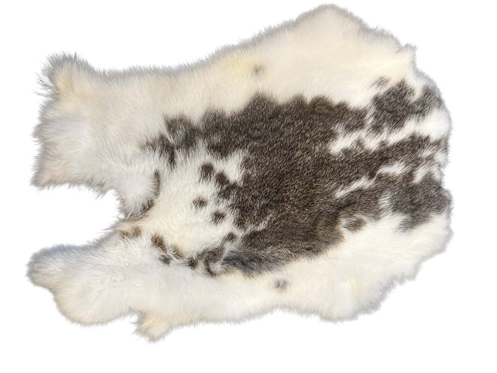 Whole rabbit - Variant 