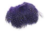 Perlehøne - Purple
