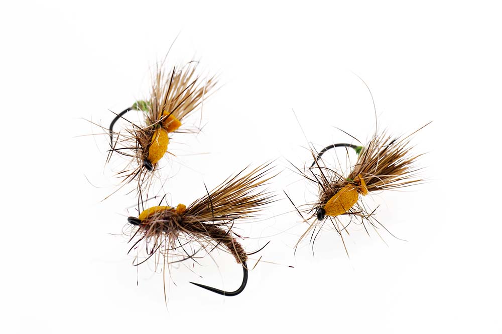Rough Water Sedge
