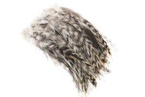 Cock Hackler Grizzly - Nature