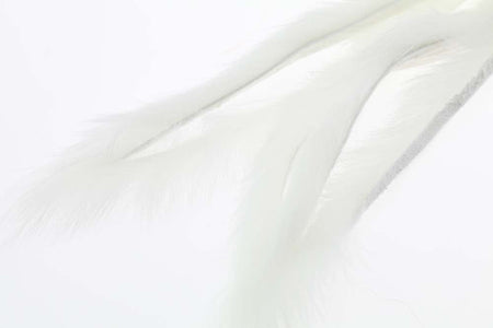 You added <b><u>3 mm Rabbit Zonkerstrip - White</u></b> to basket.