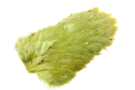 You added <b><u>4B Whiting Hen Soft Saddle - Olive</u></b> to basket.