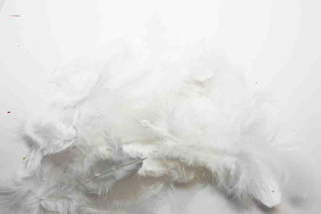 You added <b><u>Soft hackles - White</u></b> to basket.