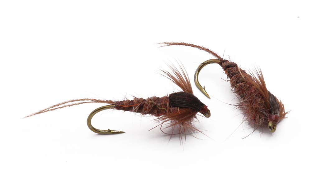 Flashback nymph Size 12 - tied in DK