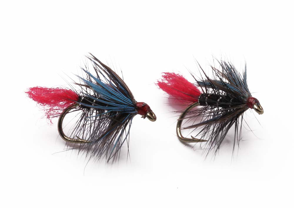 Flashback nymph Size 12 - tied in DK
