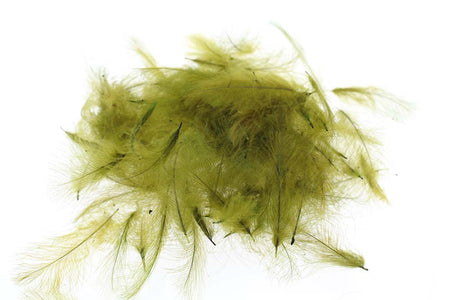 You added <b><u>Select CDC 1 gram - Golden Olive</u></b> to basket.