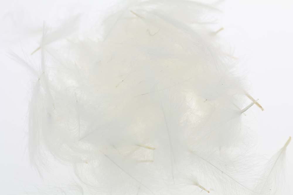 Select Cdc 1 gram - White