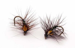 Flashback nymph Size 12 - tied in DK
