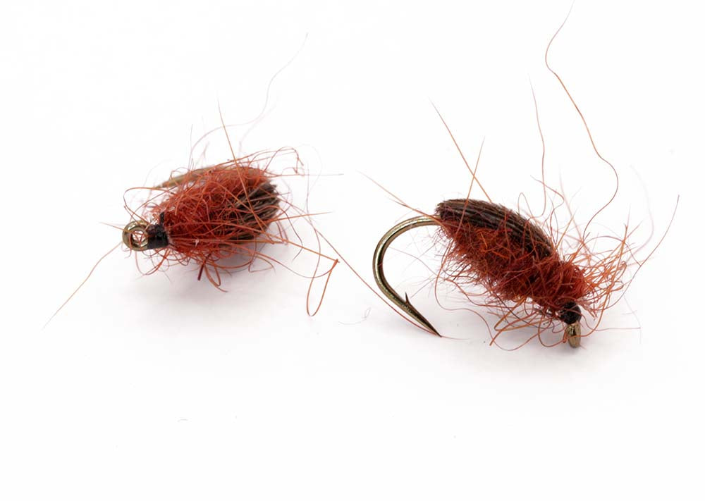 Flashback nymph Size 12 - tied in DK