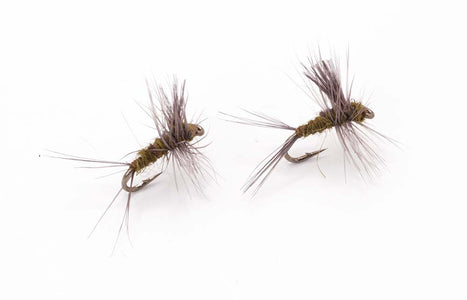 You added <b><u>Flashback nymph Size 12 - tied in DK</u></b> to basket.