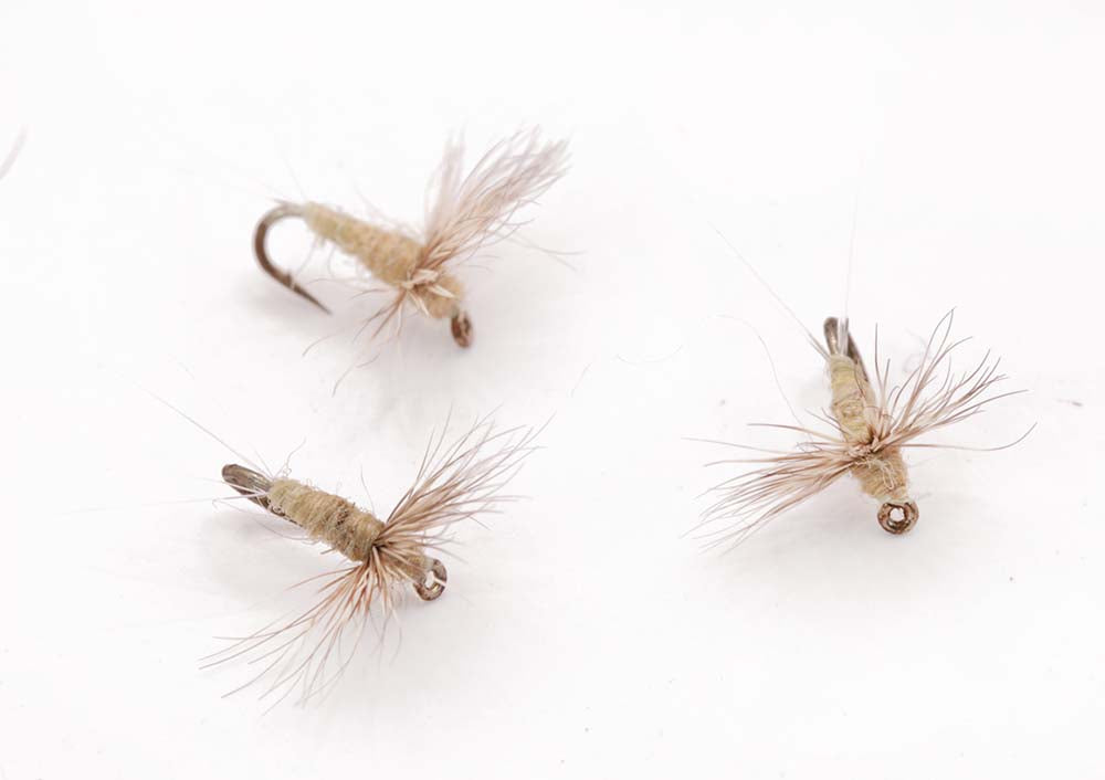 Flashback nymph Size 12 - tied in DK