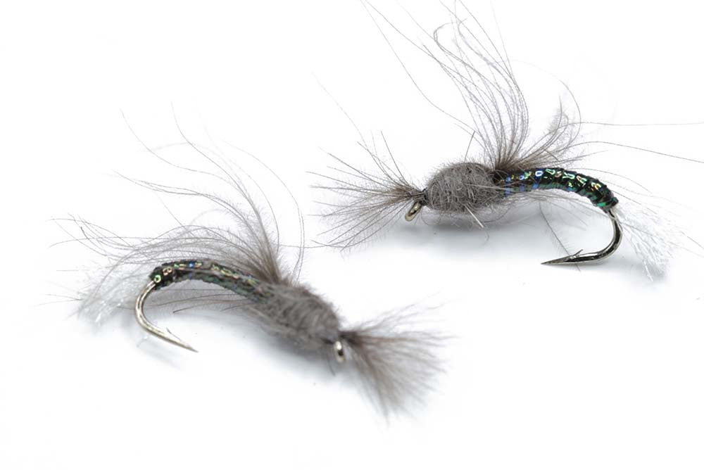 Flashback nymph Size 12 - tied in DK
