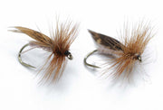 Flashback nymph Size 12 - tied in DK