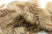 Soft hackles - Grizzly Tan