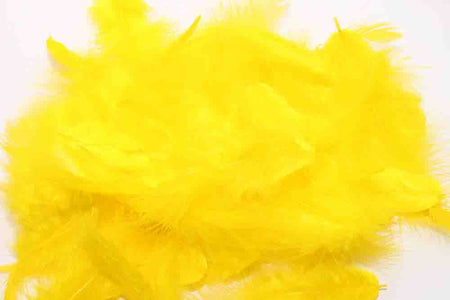 You added <b><u>Metz Soft hackles - Yellow</u></b> to basket.