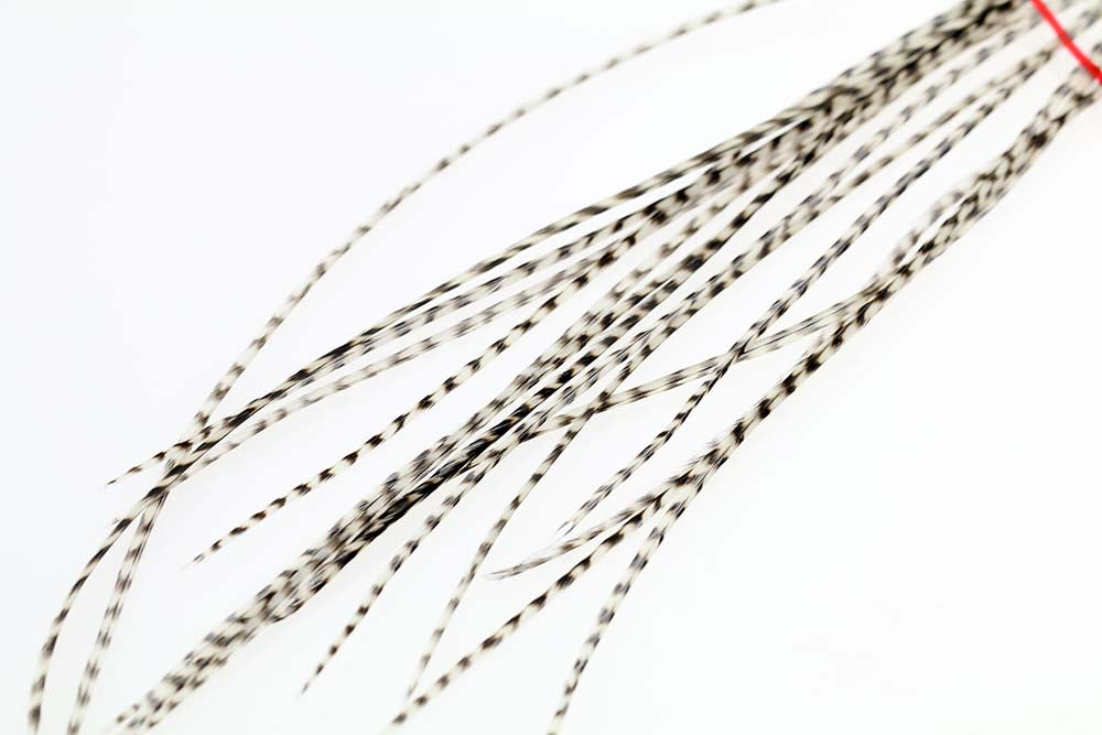 10+ Selected Flatwing/dryfly Feather - Grizzly