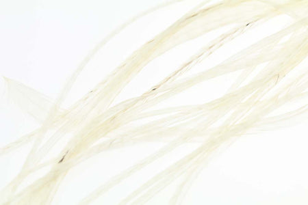 You added <b><u>10+ Selected Flatwing/dryfly Feather - White</u></b> to basket.